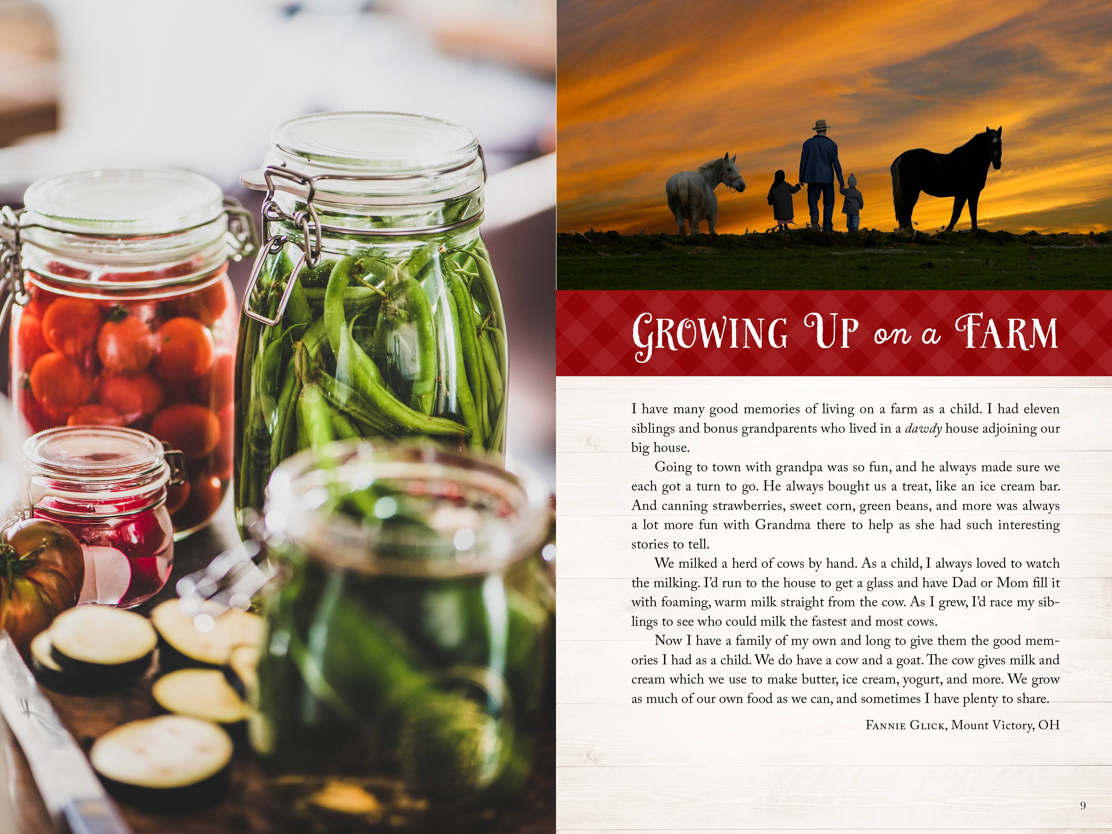 Barbour Publishing, Inc. - Wholesale Cookbooks & Food - Wanda E. Brunstetter's Amish Friends Farm-to-Table Cookbook13