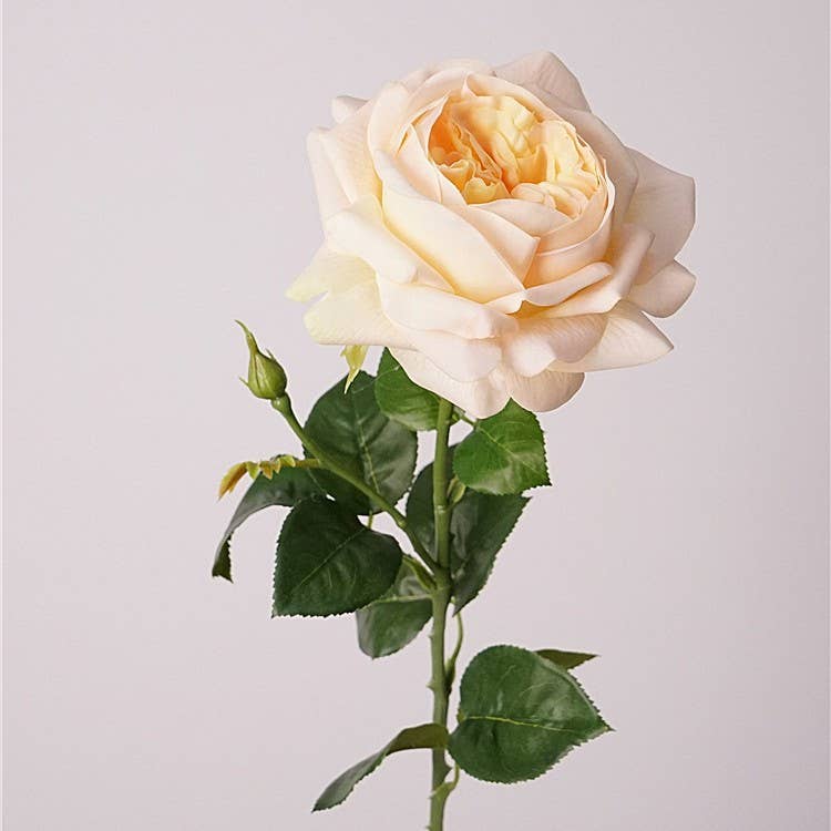 Sweet Home Deco - Wholesale Artificial Flowers - 26‘’T Real Touch Juliet Blooming Rose Spray, Spring Roses4