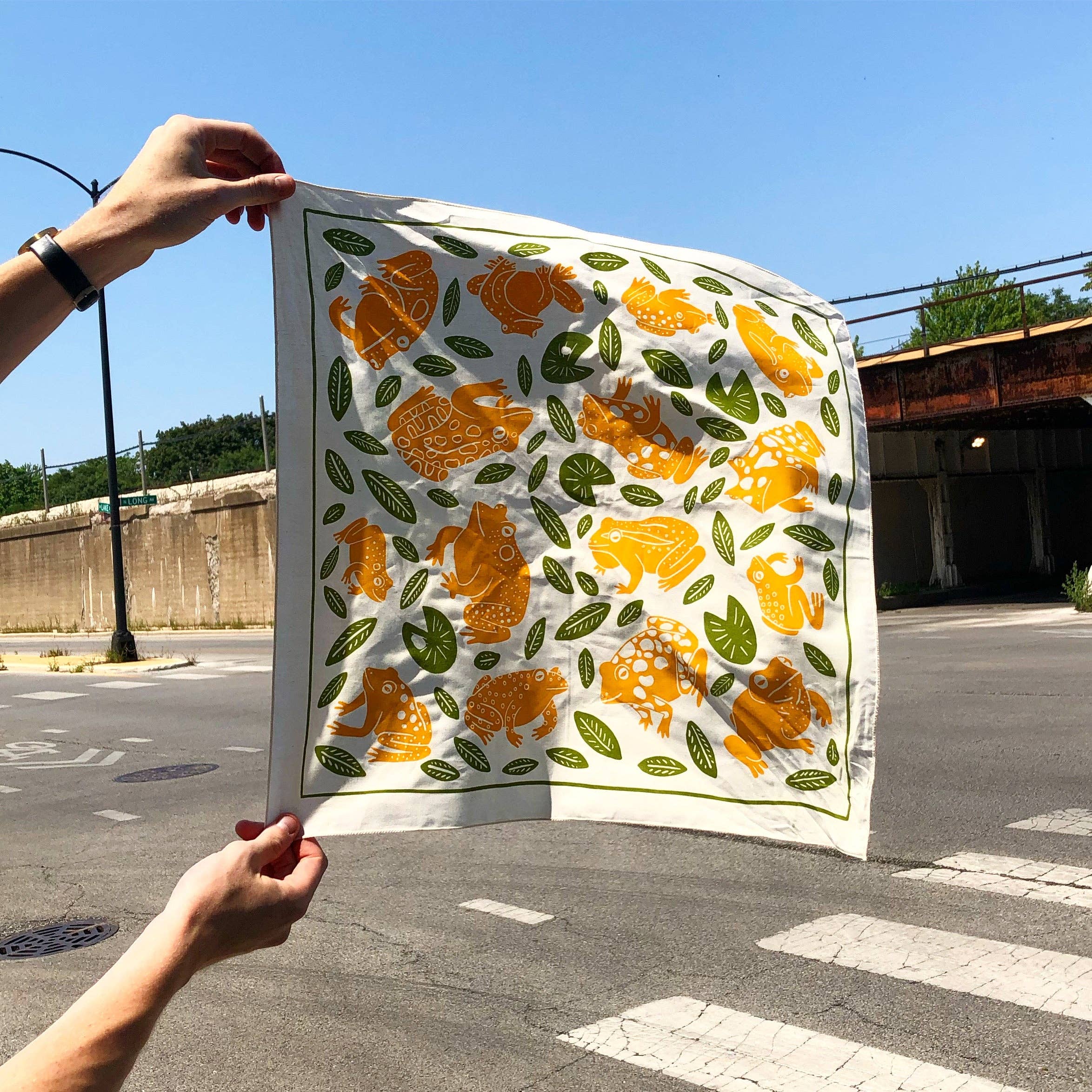 Molly Anne Bishop - Wholesale Bandana - Women's - Frog Bandana2