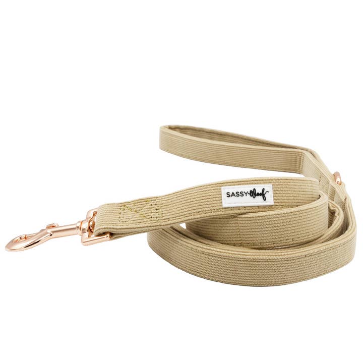 Dog Leash - Best Pup for wholesale by SASSY WOOF