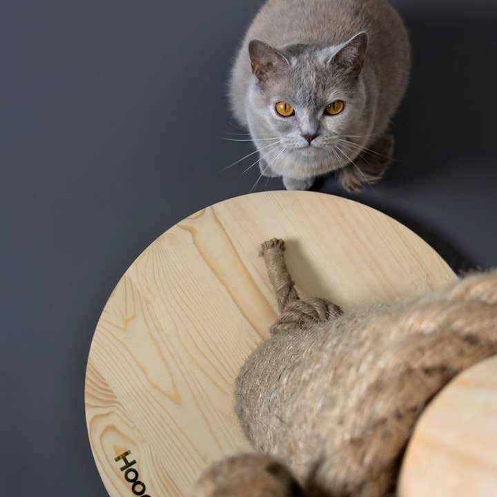Hoopo - Wholesale Pet Scratcher - Cat - Totem Cattree3