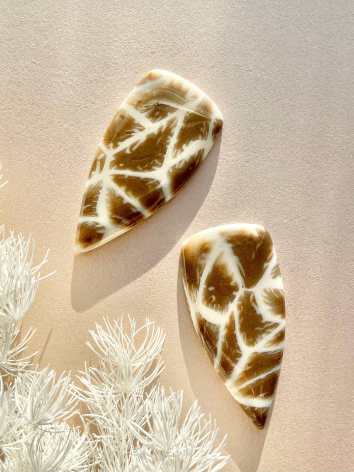 Rae pour la vente par SODADE design