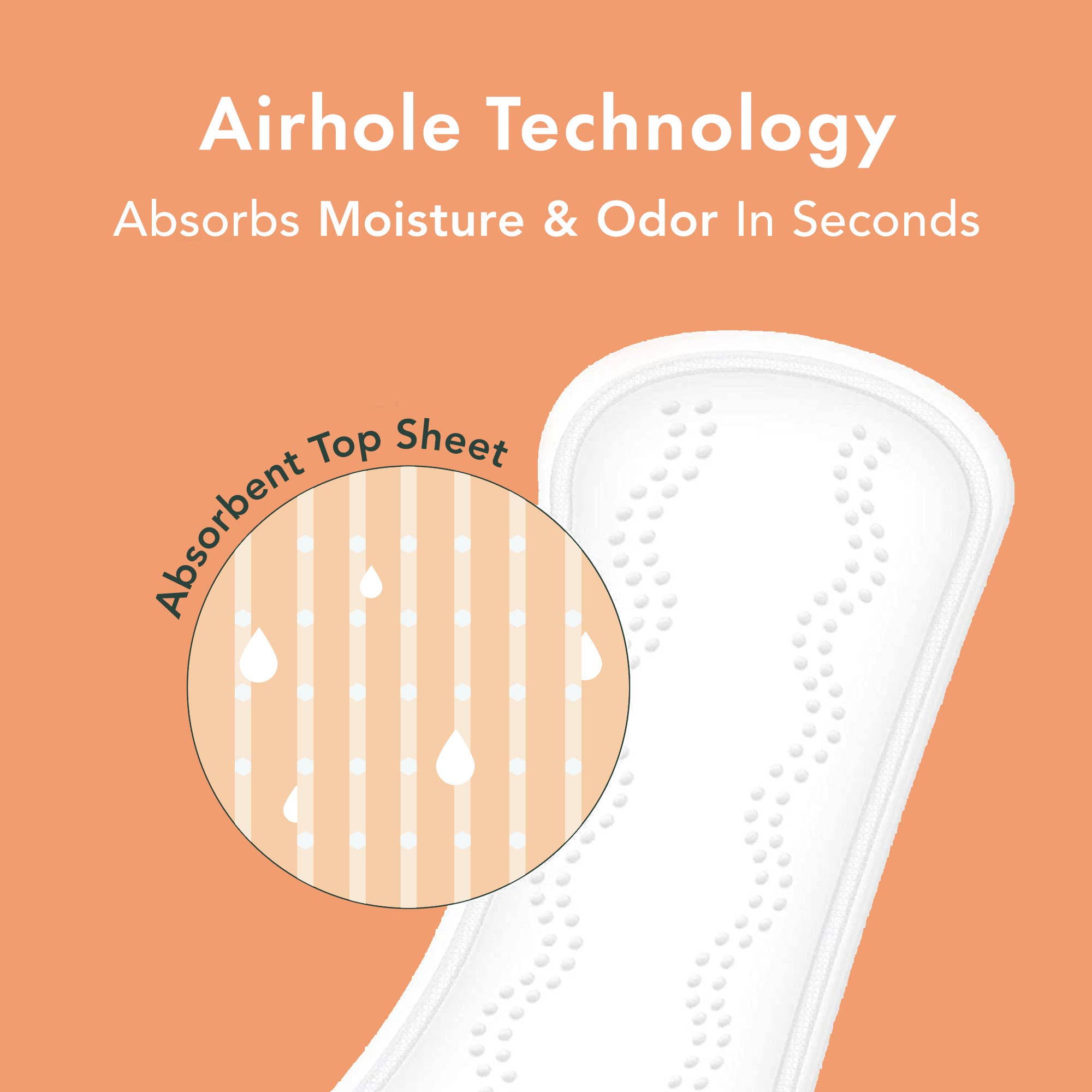 Rael - Wholesale Period Underwear - Women's - Rael Organic Cotton Cover Panty Liners - Regular2