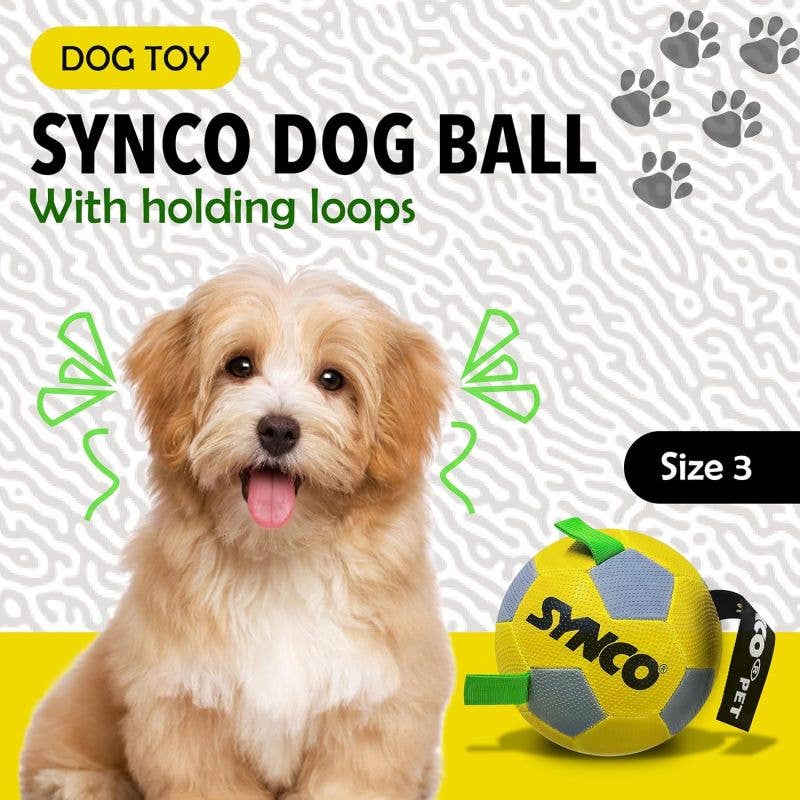 GICO Spielwaren - Wholesale Pet Fetch Ball - Dog - Dog Ball with Loops for Medium and Large Dogs #52
