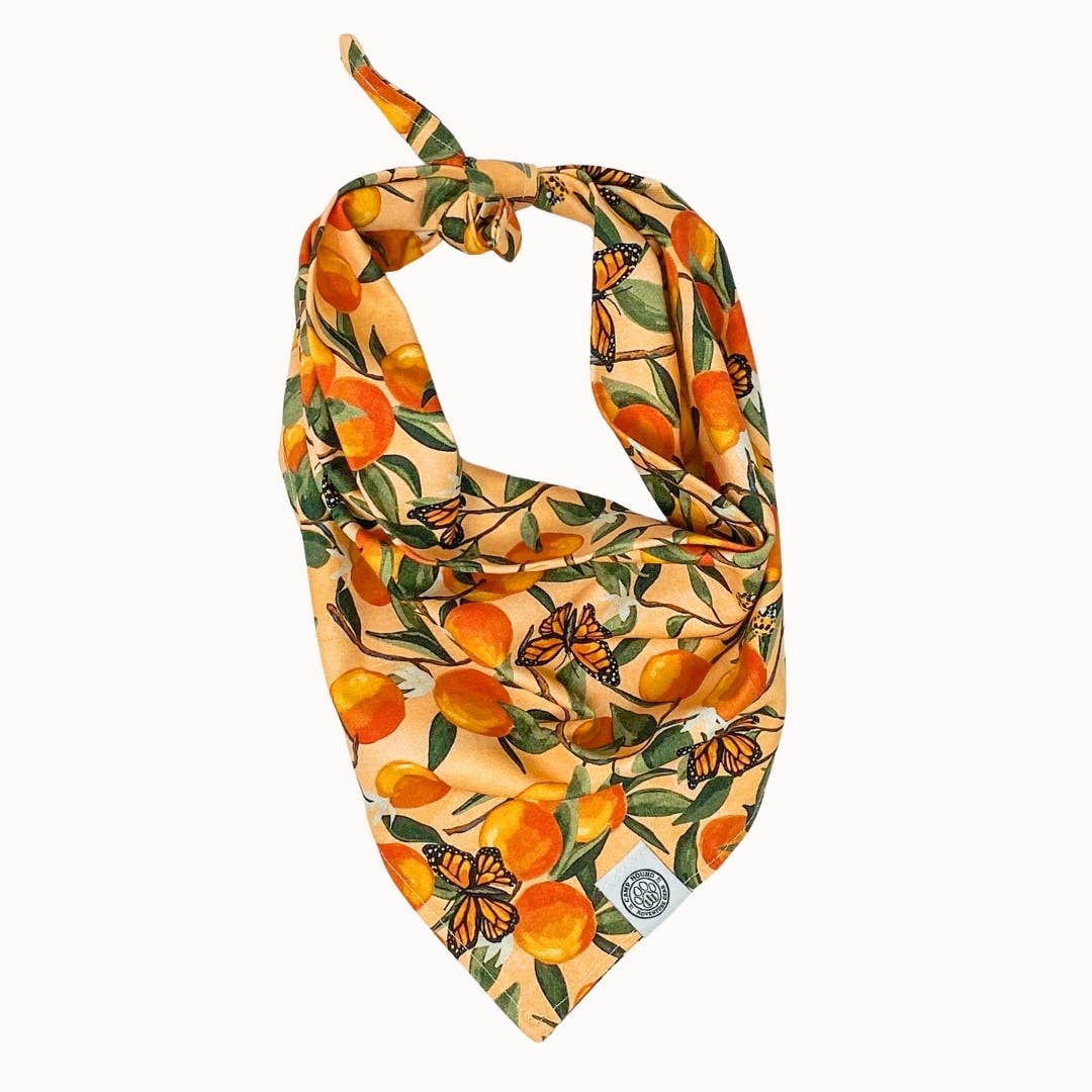 Clem Dog Bandana | Spring Orange Butterfly Watercolor Scarf for wholesale on Faire0