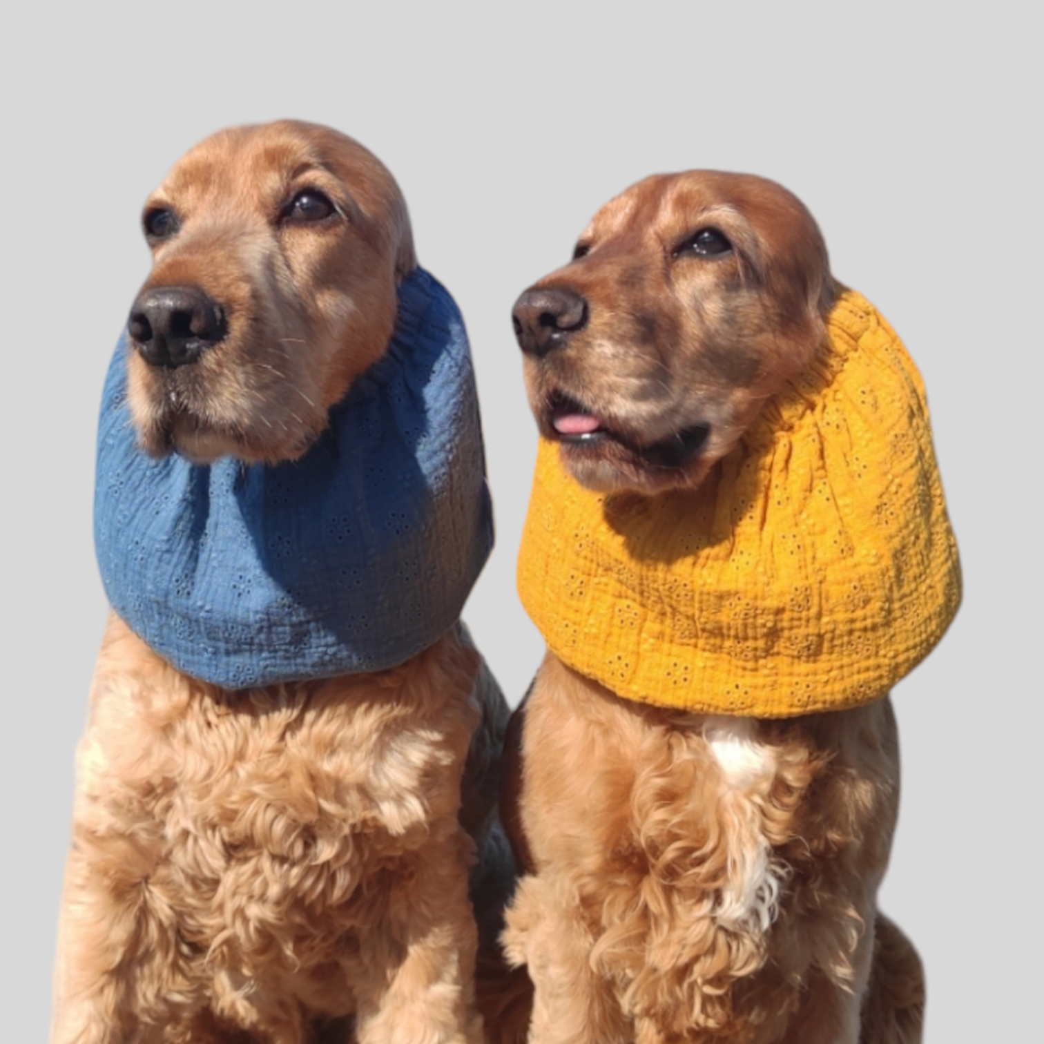 COCKIET - Wholesale Pet Hair Accessory - Dogs - TIRAMISU EARMUFFS - Sangallo5