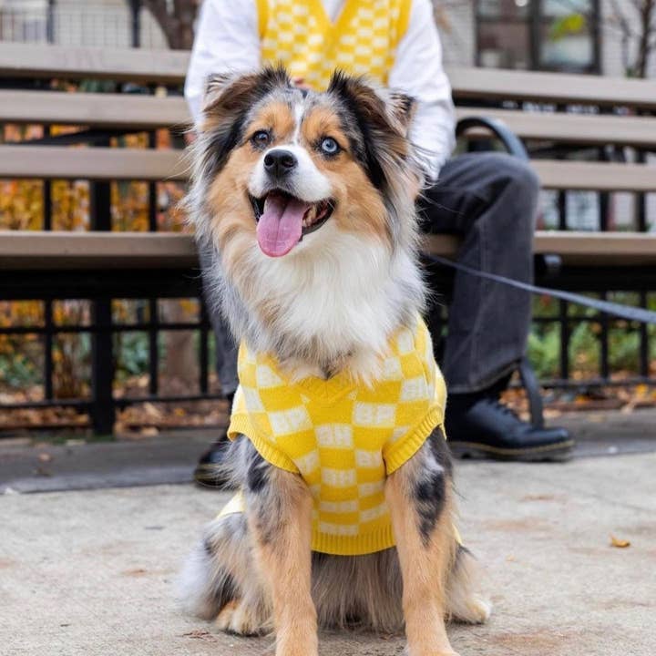 Bespoke Paws - Wholesale Pet Sweater - Dog - BP X BH Check Sweater vest6