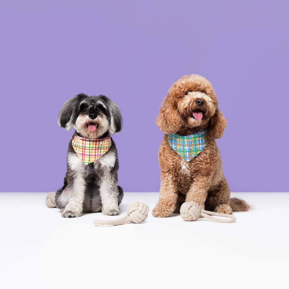 DoggySquad – wholesale Pet rope toy – Dog – Rope Ball Toy Set1