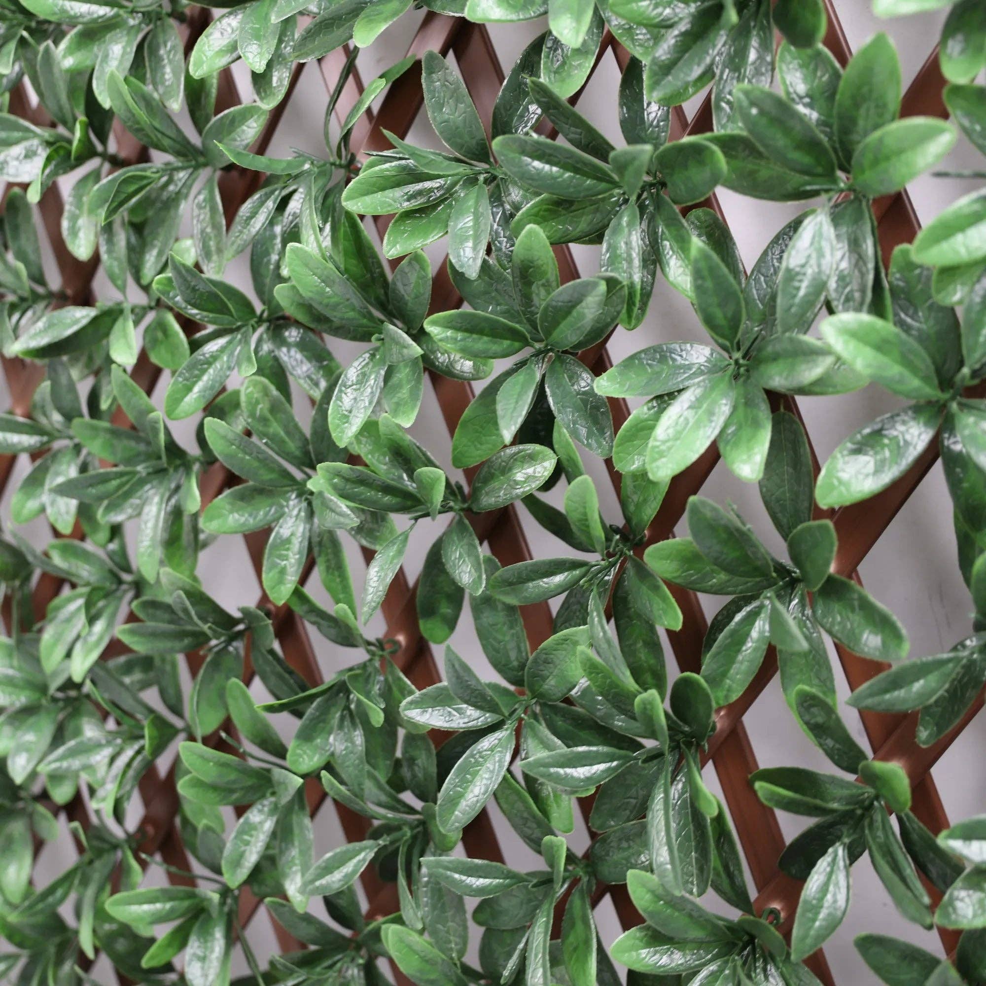 Designer Plants - Wholesale Outdoor Ornament/Decor - Expandable Faux English Laurel Trellis Privacy Fence (Variable Size) UV Resistant - 72" x 36"2