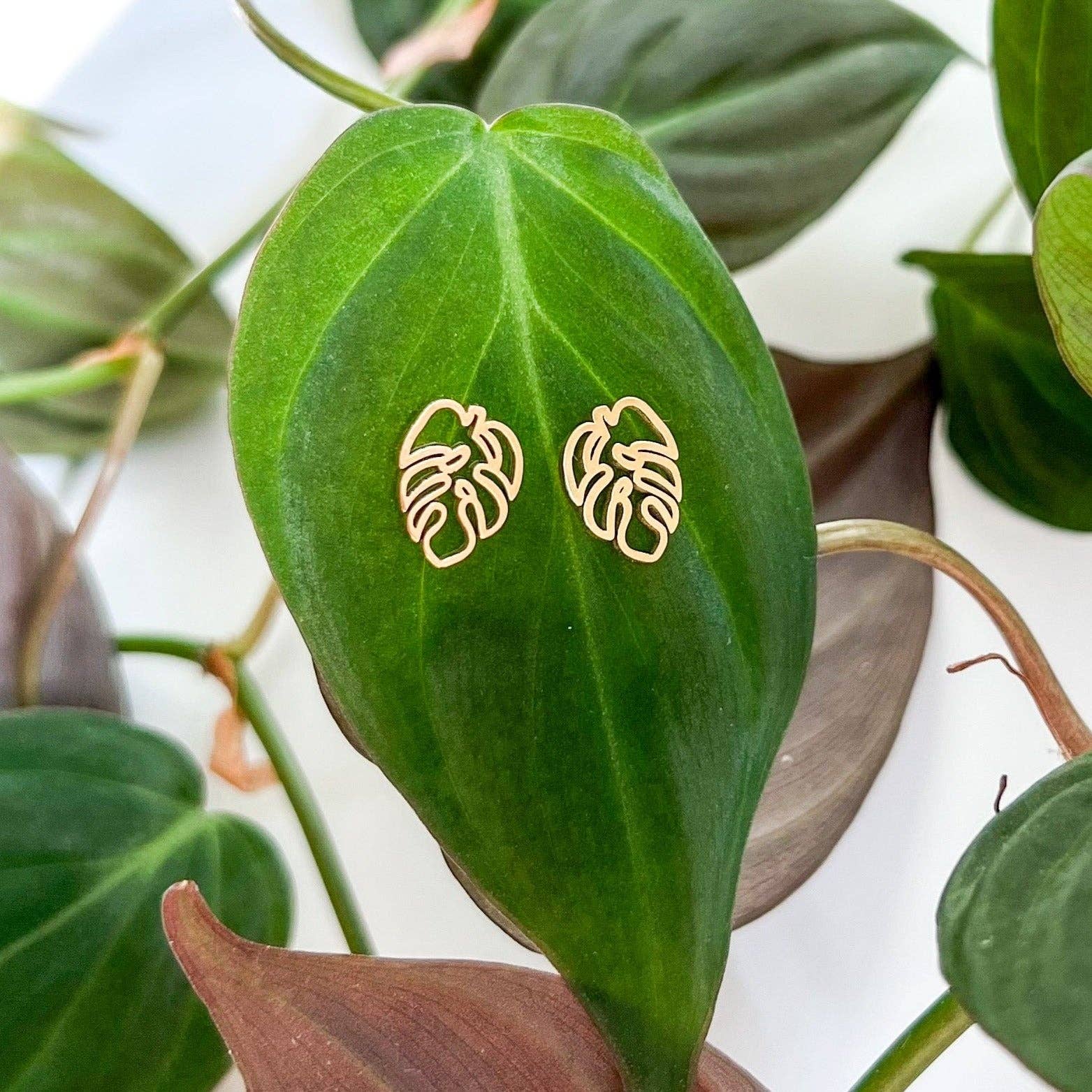 Natalie Clare Collections - Wholesale Stud/Post Earrings - Hollow Leaf Stud0