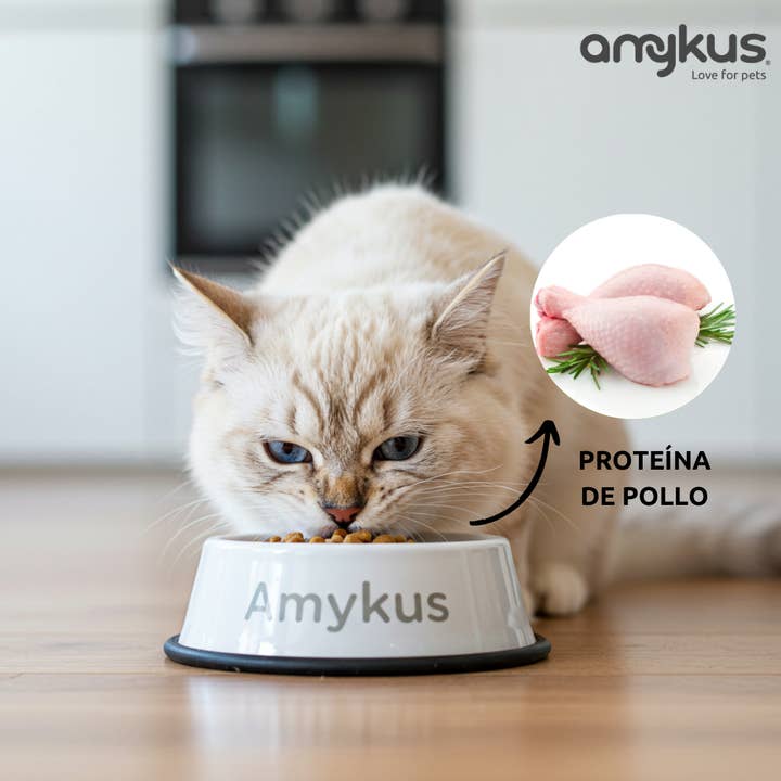 Amykus - Wholesale Pet Food - Cat - Amykus Original Cat Adult - Food for adult cats3