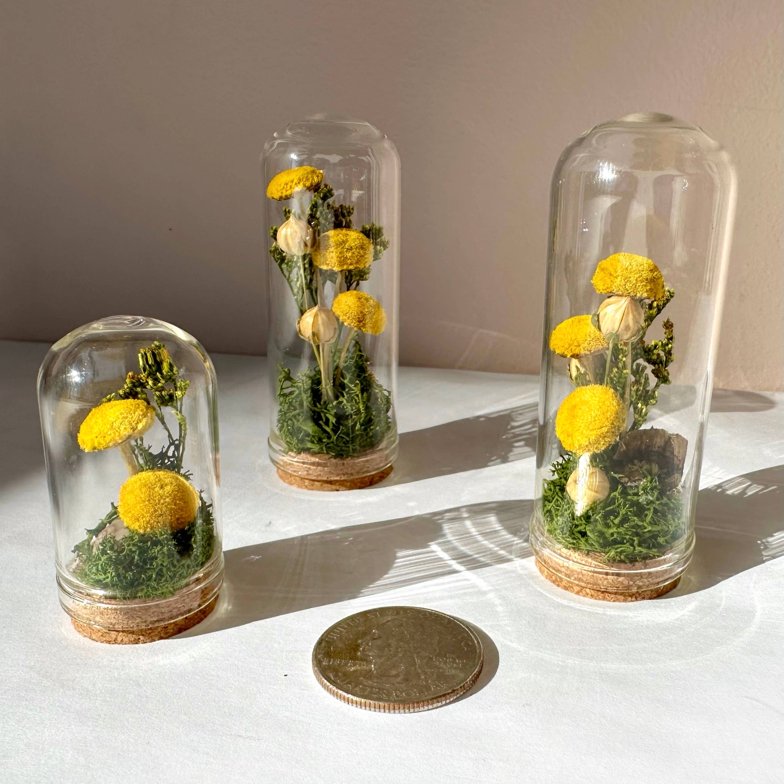 CA Studios - Wholesale Terrarium - Yellow Mushroom Fields Mini Glass Terrarium w. Dried Florals1