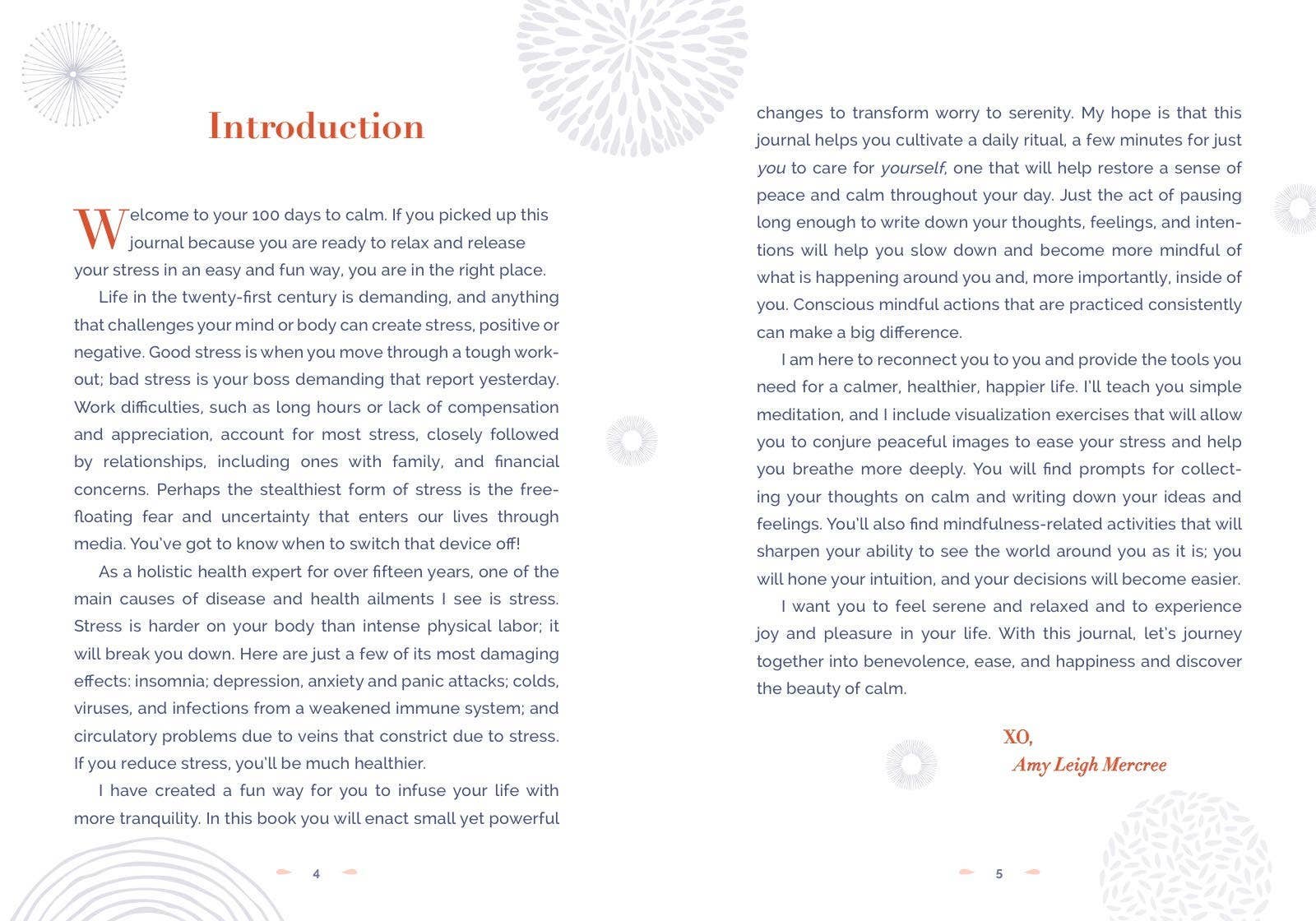 Hachette Book Group - Wholesale Journal/Diary - 100 Days to Calm: A Journal for Finding Everday Tranquility2