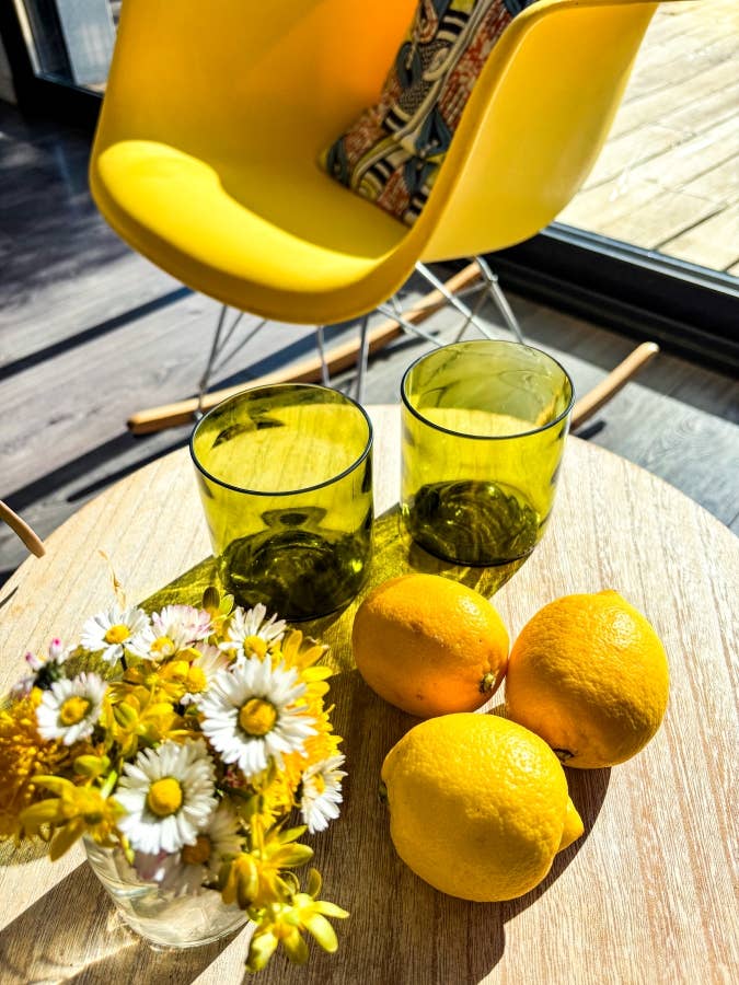 PLATES & Culotées - Wholesale Drinking Glass/Cup - VERRES Bold CLASSIC SUN8