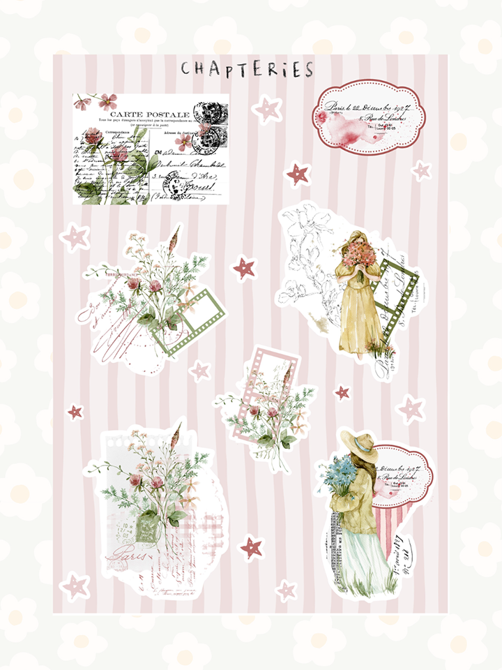 Chapteries - Wholesale Sticker - Sticker sheet - S-2511