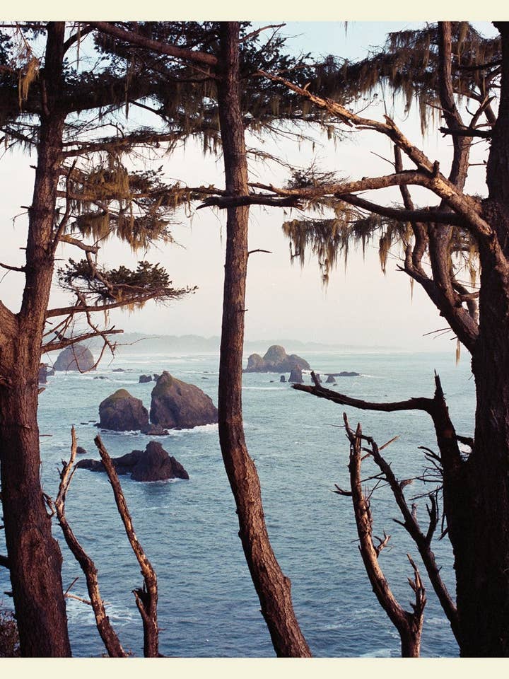 Trinidad Sunset - Carte postale 4x6 pouces pour la vente par Will Suiter Photography & Studio