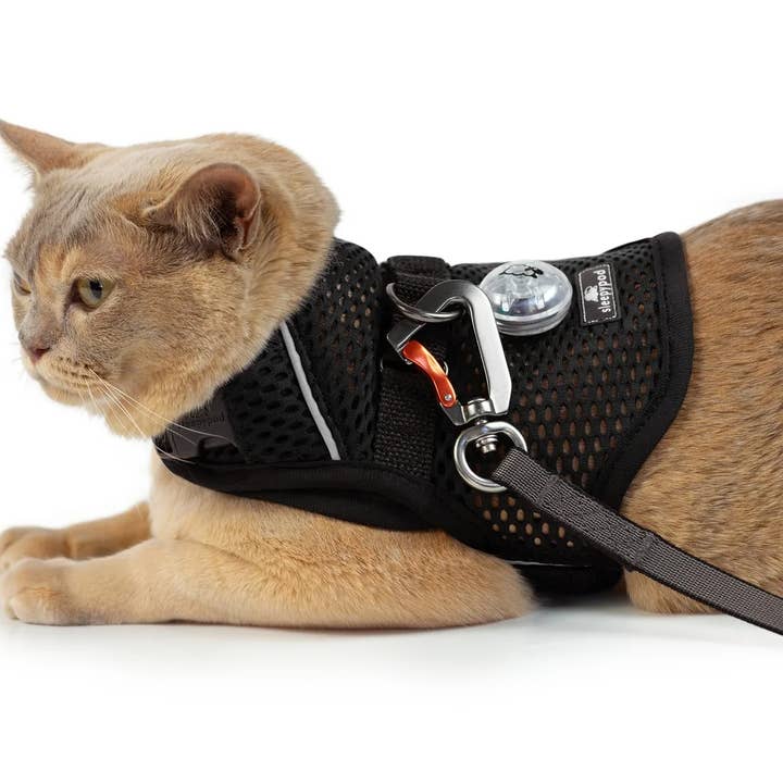 Sleepypod – Arnês – Gato por atacado – Coleira Peitoral Calmante com Martingale para Gato - Arnês para Passeio (Kit)