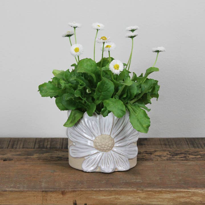 HomArt - Wholesale Plant pot - Daisy Cachepot, Ceramic3