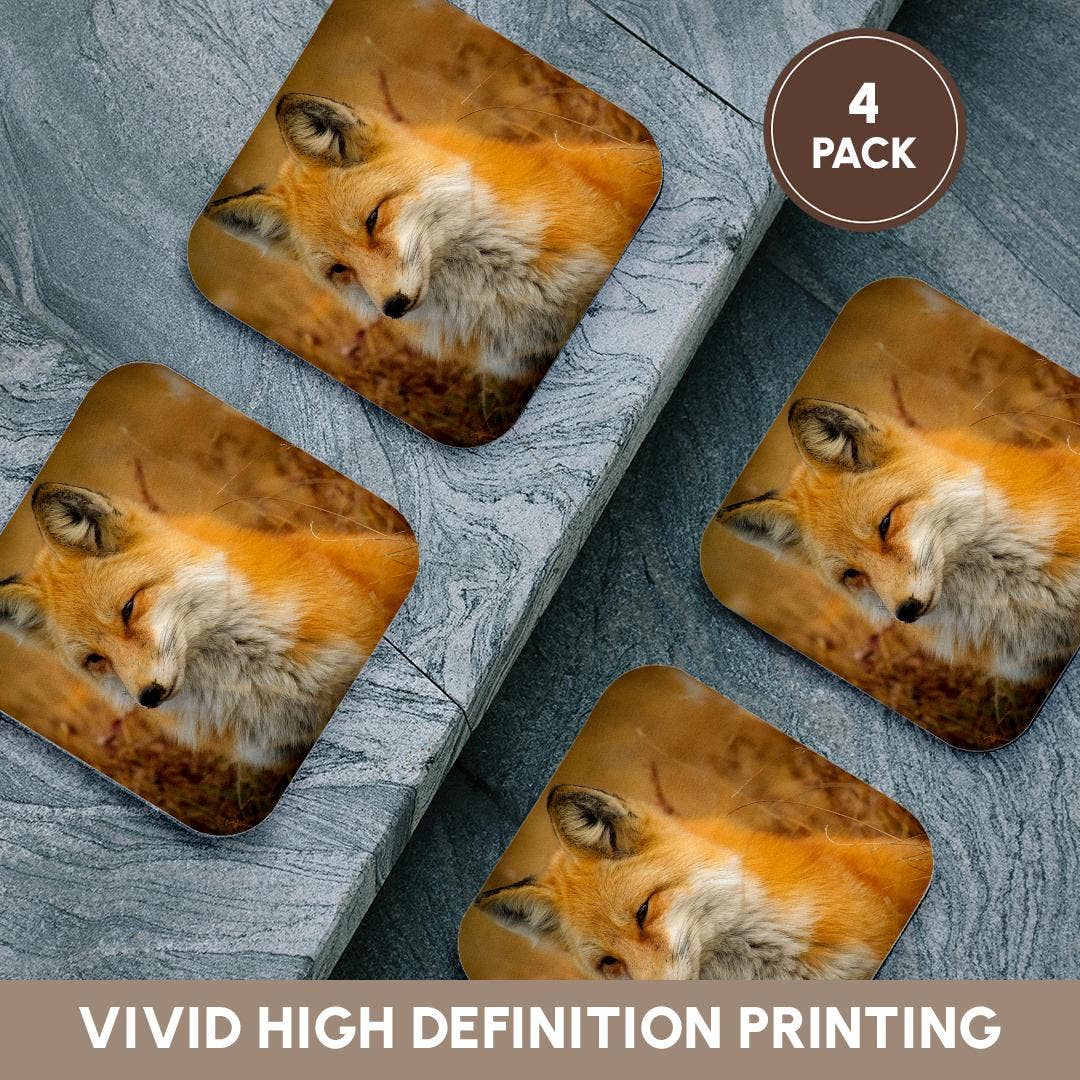 3dRose - Wholesale Coasters - 3dRose, Red Fox, Coaster12