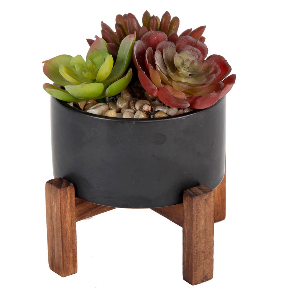 Flora Bunda Inc - Vendita all'ingrosso Pianta grassa - Finto succulento in vaso di ceramica su supporto in legno1