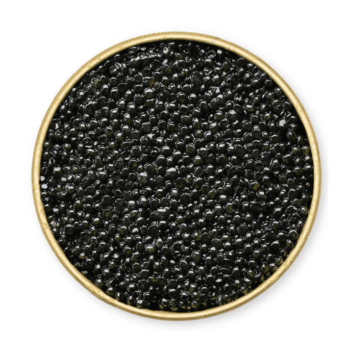 Siberian Sturgeon Caviar for wholesale by Number One Caviar LLC