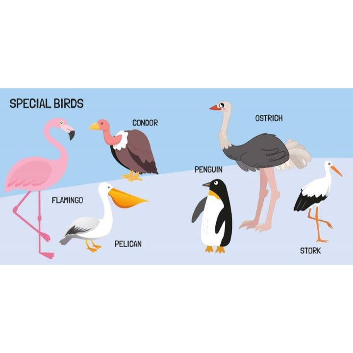 Axis Toys & Gifts - Wholesale Puzzle – Child - Sassi 3D Puzzle and Book Set - World of Birds, 40 pcs6