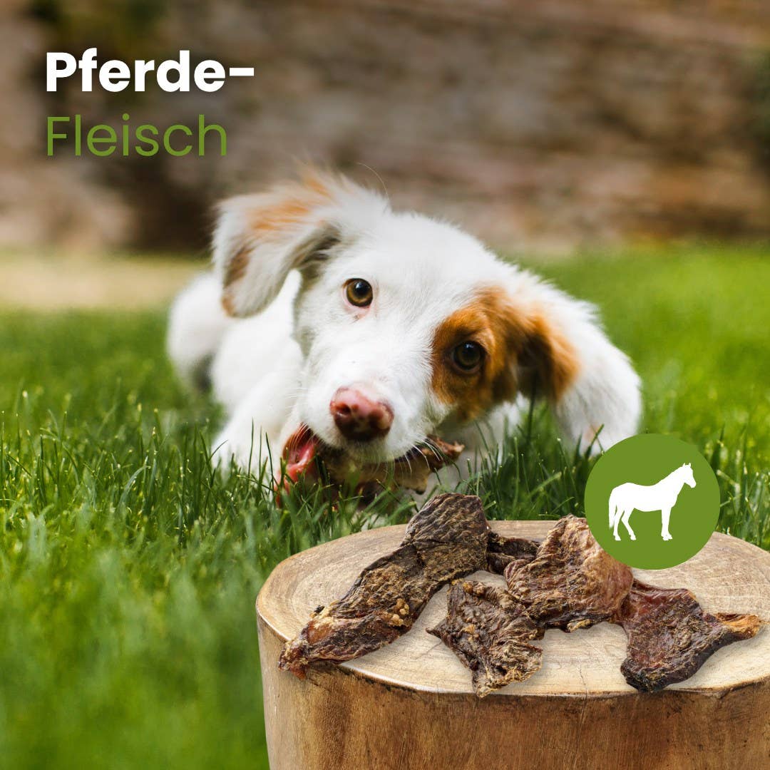 Kauartikel.com GmbH – Engroshandel Tyggeben - Hund – Hestekød uden konserveringsmidler – hypoallergen tyggeben til hunde1