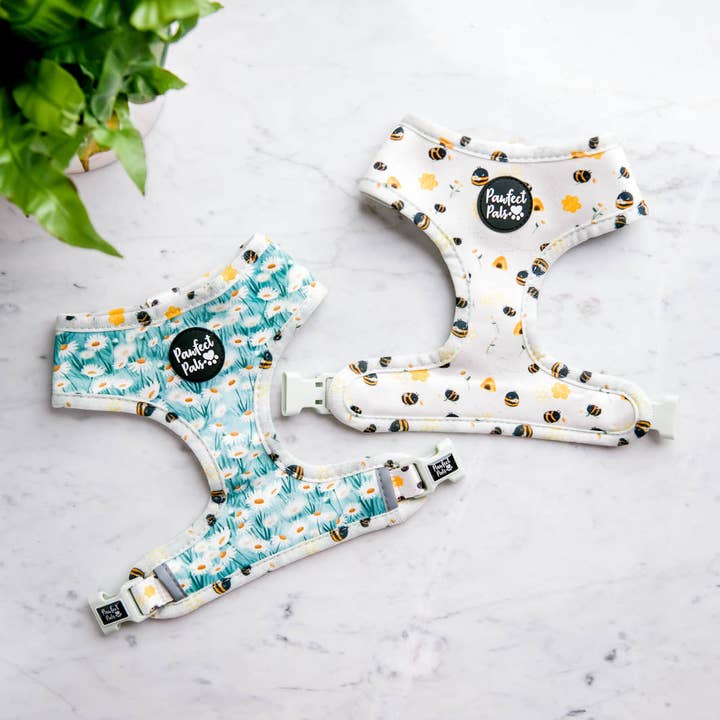 Pawfect Pals - Wholesale Pet Harness - Dog - Sweet Like Honey - Reversible Dog Harness