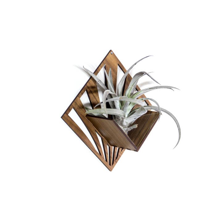 LIGHT RAZOR DESIGN STUDIO - Wholesale Wall planter - Air Plant Holder / Quadrate Wall Hanging Planter 218