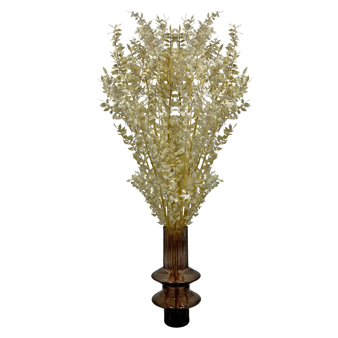 2626 Designs - Vendita all'ingrosso Piante artificiali - Ruscus conservato lungo 56-61 cm13