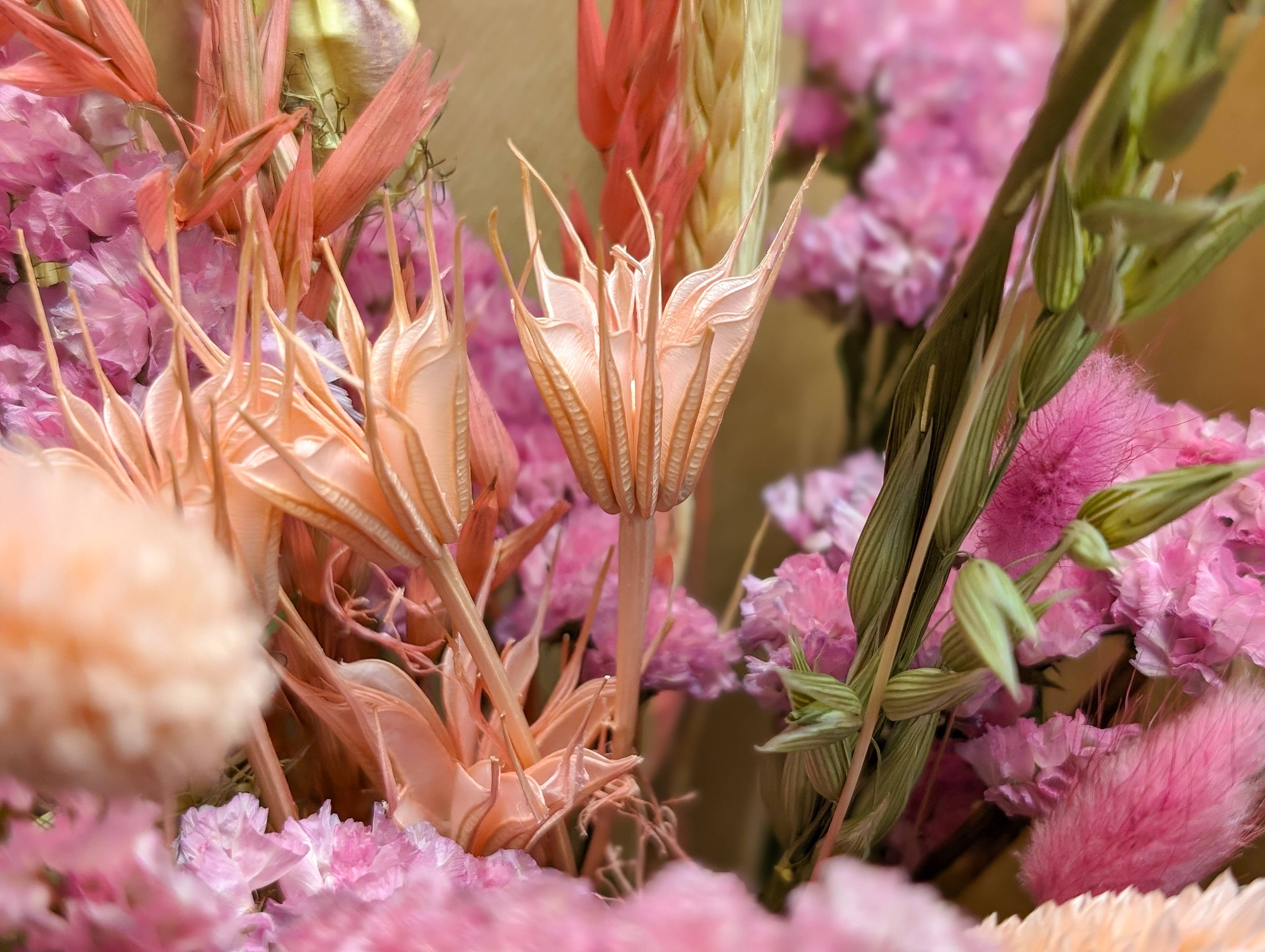 Banksia Botanicals - Wholesale Dried/Pressed Flowers - Pink Dried Flower Arrangements1
