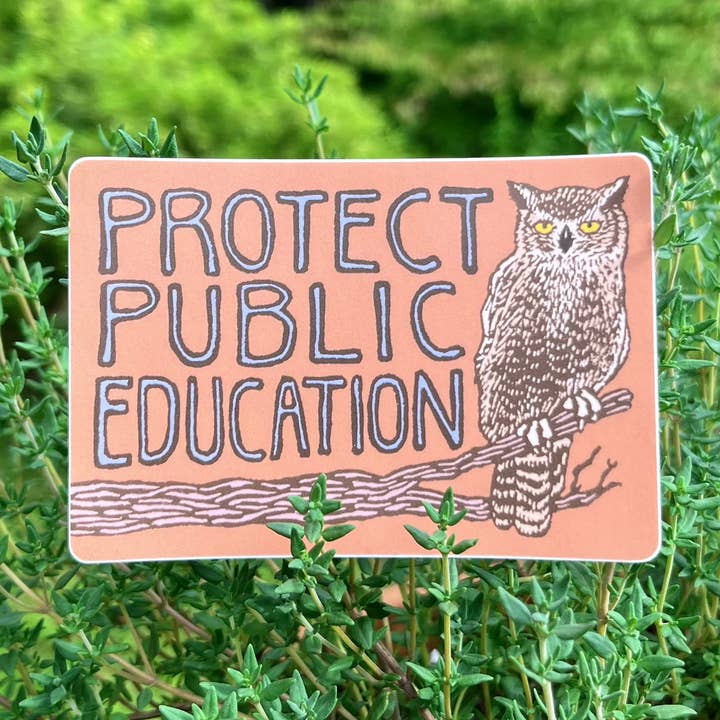 Autocollant Protégez l'Éducation Publique | hibou en vinyle mat pour la vente par stickiemi