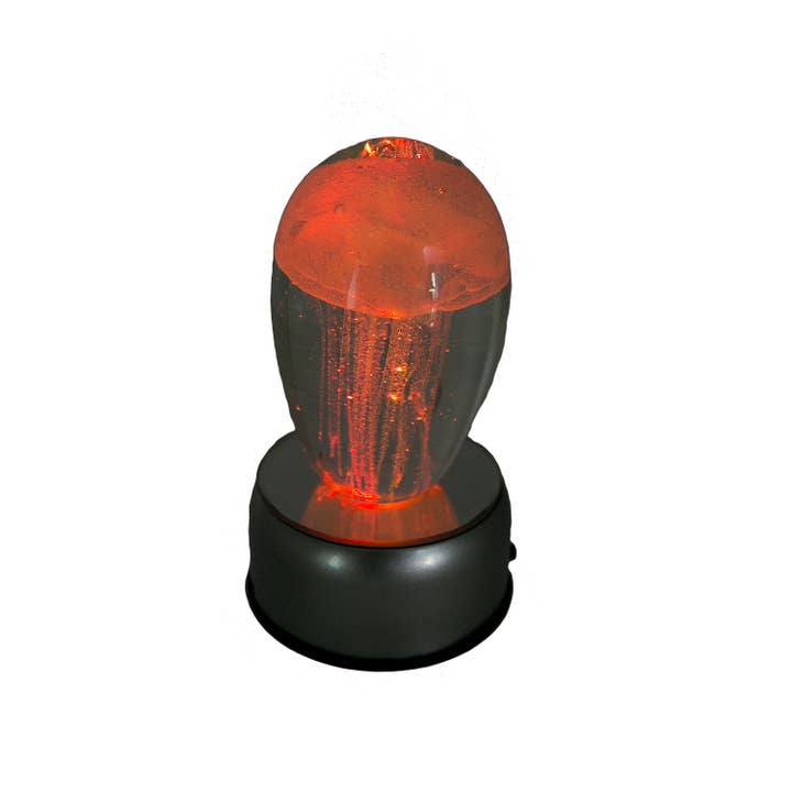 Beachcombers - Wholesale Decorative Tabletop Object - SALE 4 Color Rotating Base1