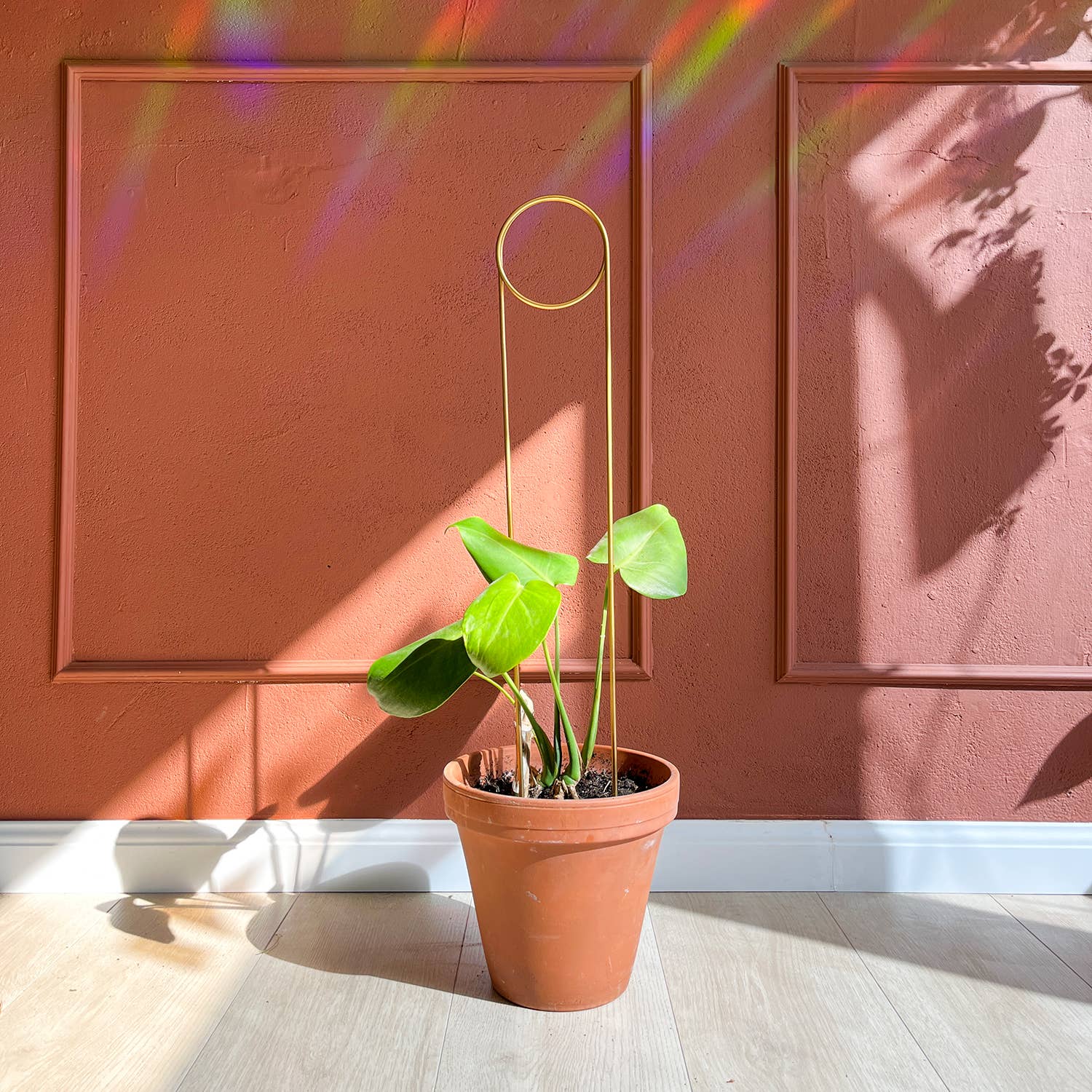 Botanopia - gifts , decor and cards for plant lovers – wholesale Garden/lawn stake – Golden Plant Stake - Pin1