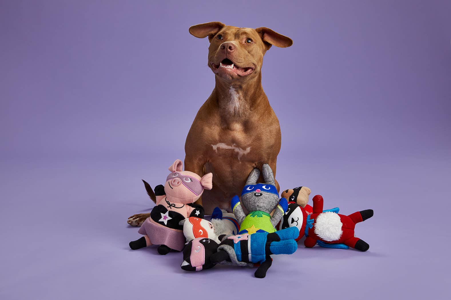 Jax & Bones - Wholesale Pet Squeaky Toy - Dog - Big Lou the Dog Wool Dog Squeak Toy (One Size)3