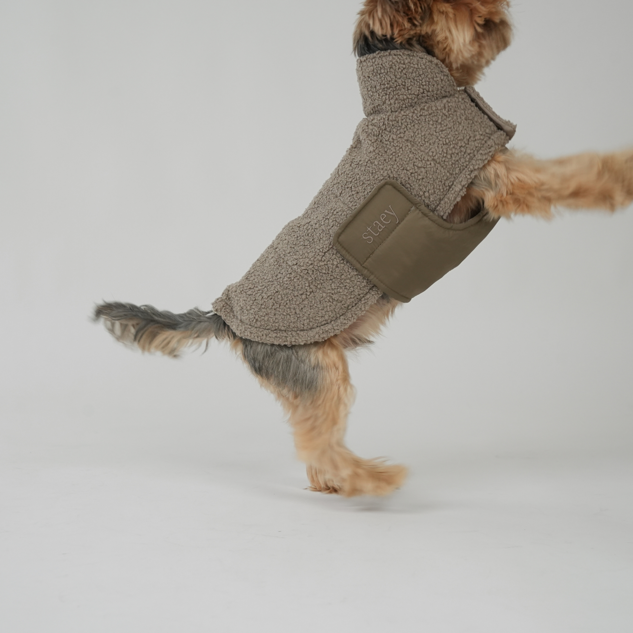 Staey – wholesale Hundjacka - Hund – Hundjacka Teddy | Taupe7