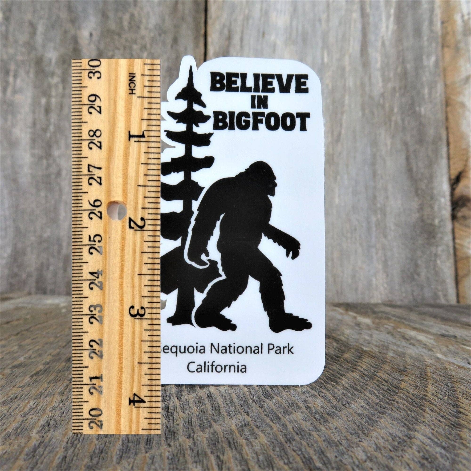 Kirk's Krafts - Wholesale Sticker - Sequoia National Park Sticker Believe in Bigfoot California Tall Tree Outdoors Waterproof Water Bottle Laptop Sticker1