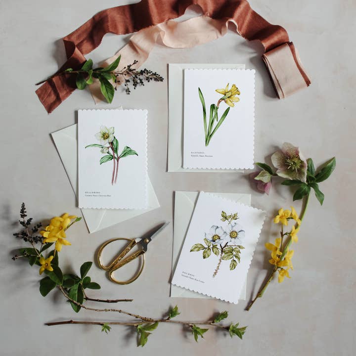 Sophie Brabbins - Wholesale Everyday Greeting Card - Hellebore Watercolour Scalloped Sustainable Greeting Card2