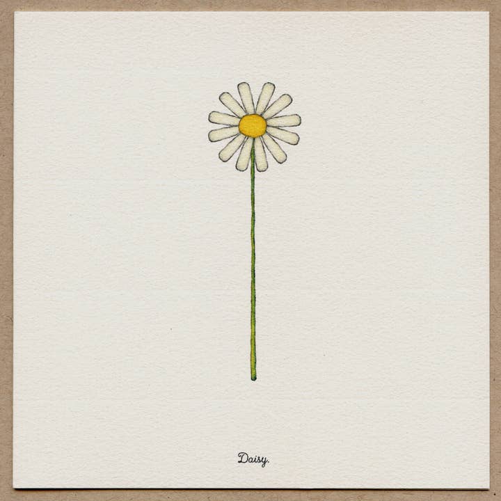 Biglietto di auguri Daisy. per la vendita all'ingrosso da parte di Beth Mueller