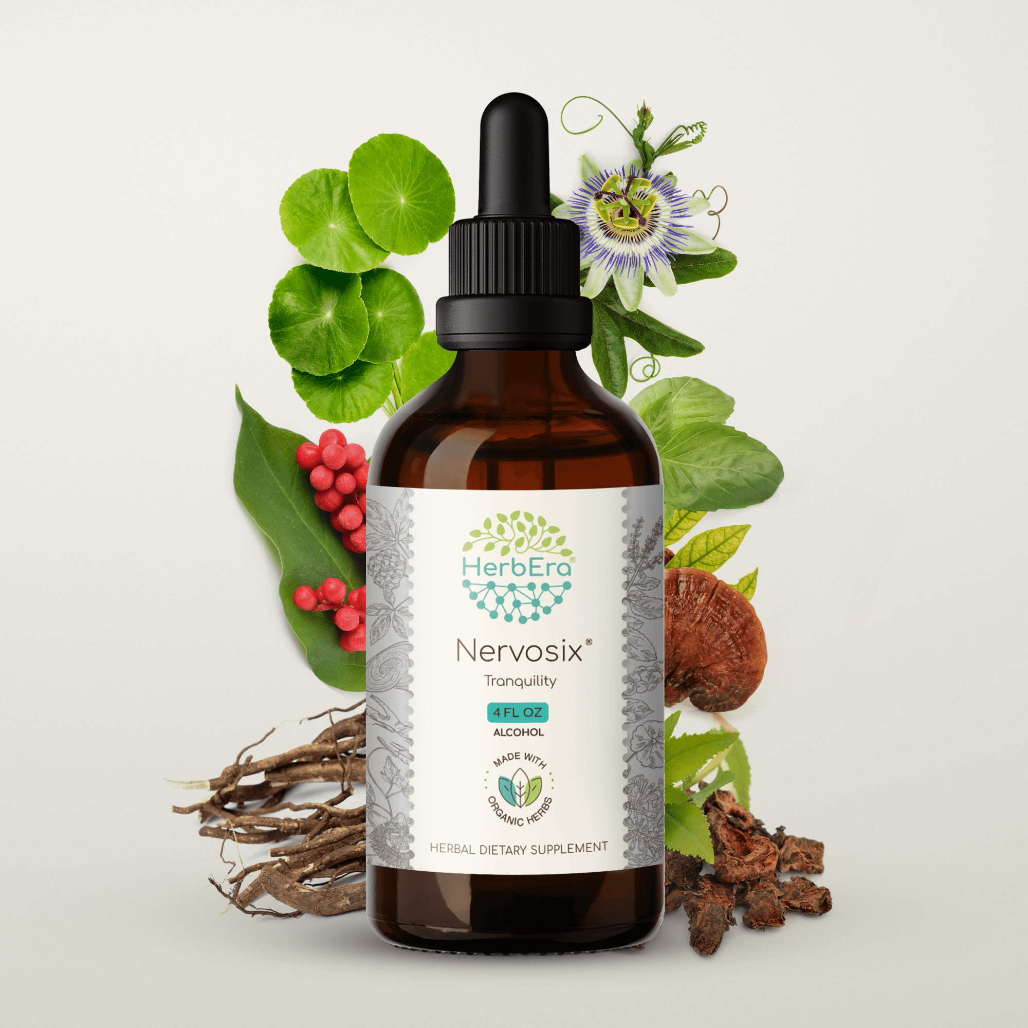 HerbEra - Wholesale Tincture - Nervosix Tincture12