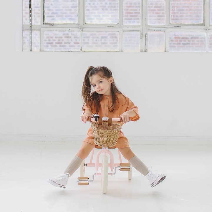 Banwood Inc - Vente Vélo et trottinette – enfant - BANWOOD TRIKE VINTAGE - ROSE3