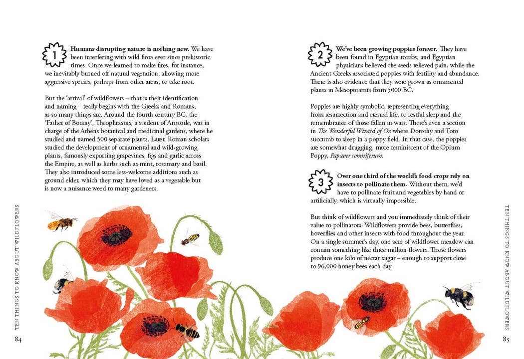 Chronicle Books - Wholesale Nature & Outdoors Book - Planting Wildflowers4