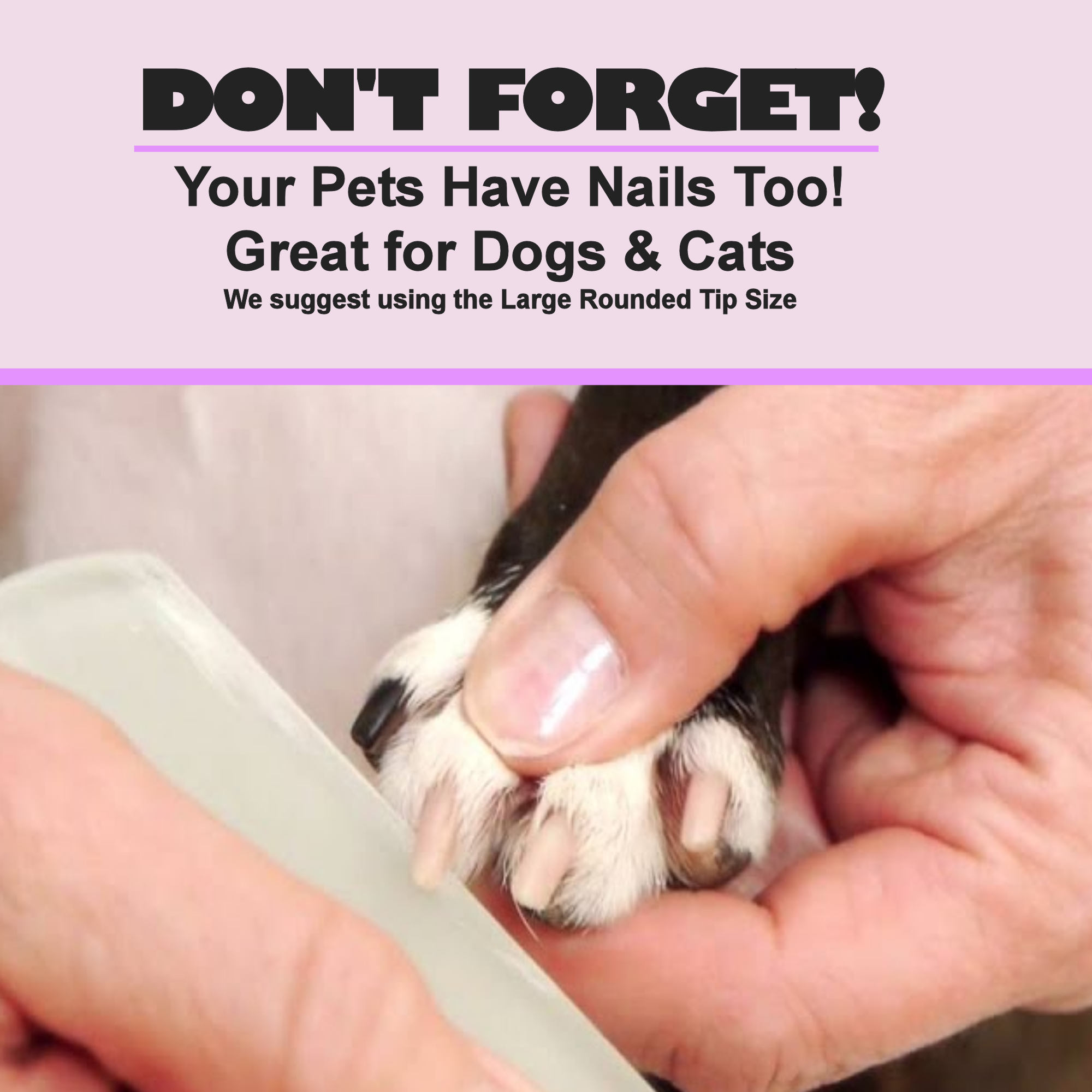 Classy Nail Files - Vendita all'ingrosso Lime per unghie - Boccioli di Rosa Fiore Rosa Regalo Lima per Unghie in Cristallo Dipinta a Mano10