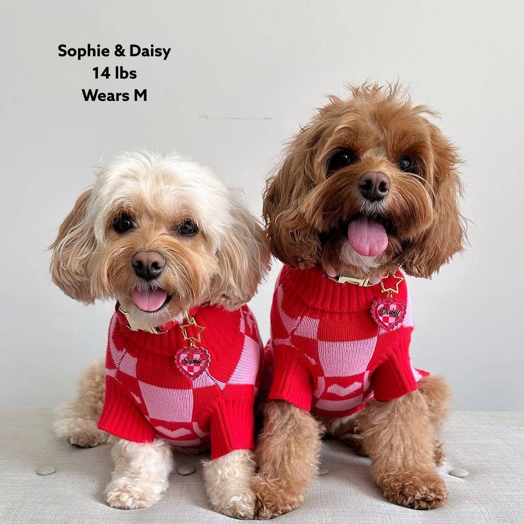 Sunbean - Wholesale Pet Sweater - Dog - Roll Neck Dog Knitted Love Sweater7