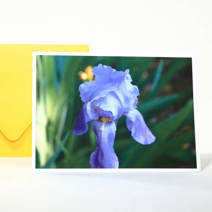 Cartão de nota em branco de íris roxa por atacado de New England Prints