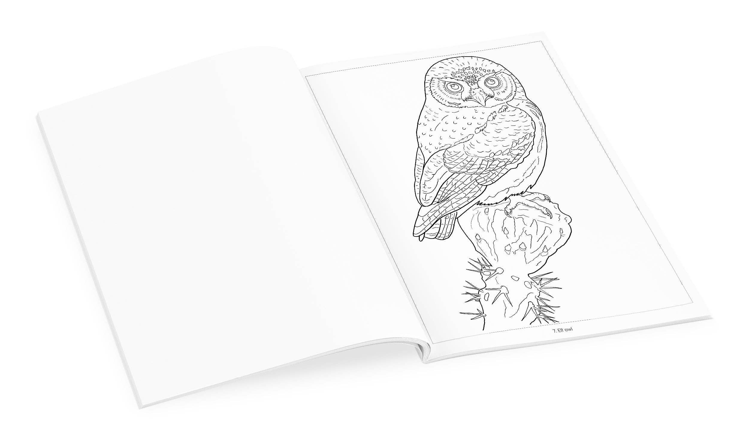 Pomegranate - Wholesale Coloring & Activity Book - Kids & Baby - Owls Coloring Book3
