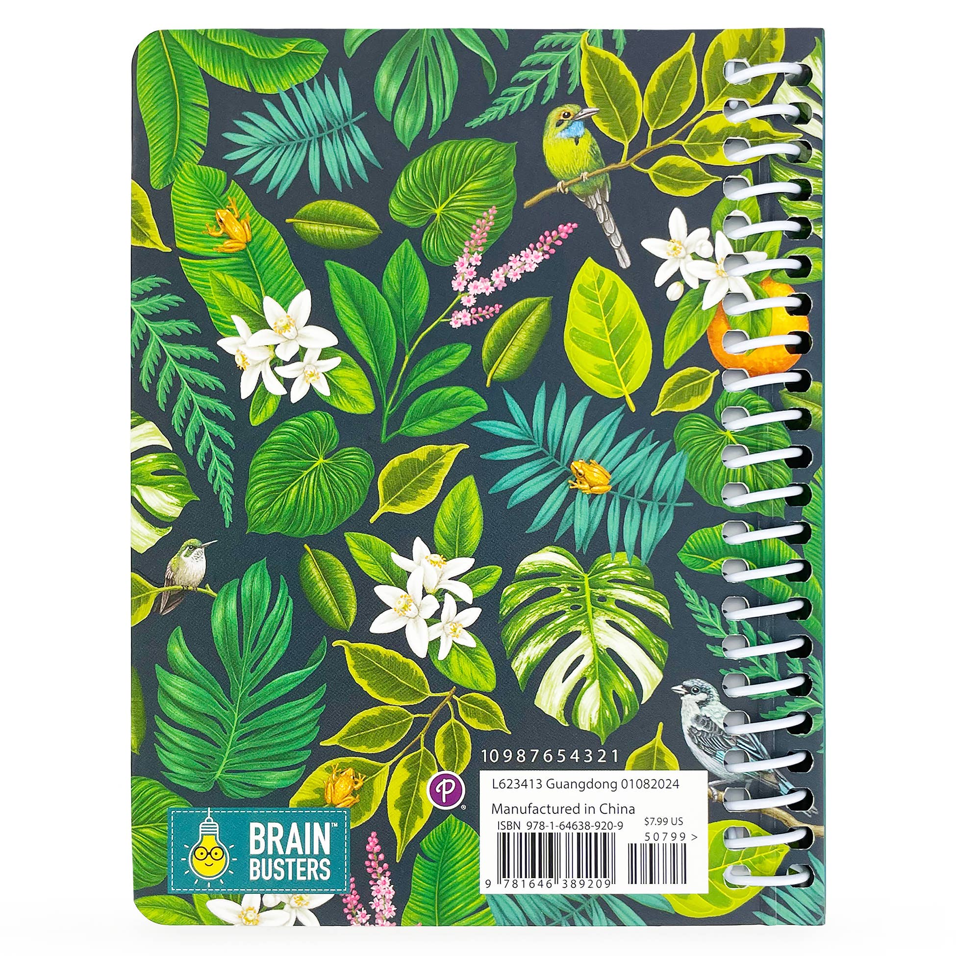 Cottage Door Press - Wholesale Puzzle - Adult - Word Search Puzzles for Concentration
4