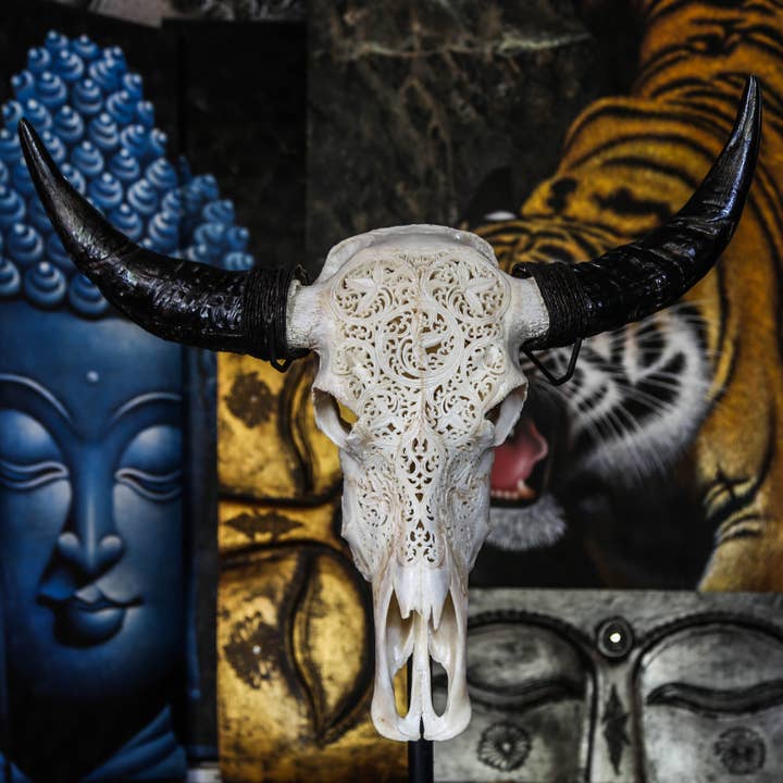 Aureus Skulls - Wholesale Wall Accent - Hand Carved Buffalo Skull - 7 Circles