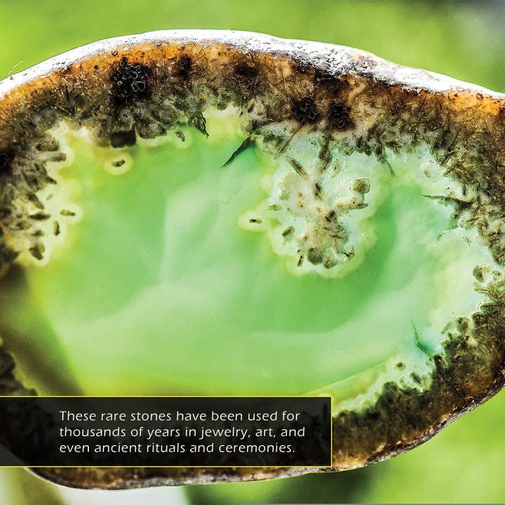 My Incredible World - Wholesale Nature & Outdoors Book - Gemstones! A My Incredible World Picture Book for Children2