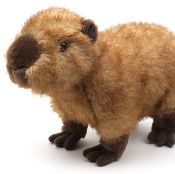 Uni Toys - Wholesale Stuffed/Plush Toy - Kids & Baby - Capybara, standing - 27 cm (length) - Cuddle/Plush toy